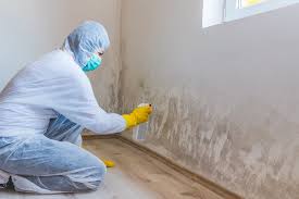 Mold Remediation for Vacation Homes in Oatfield, OR